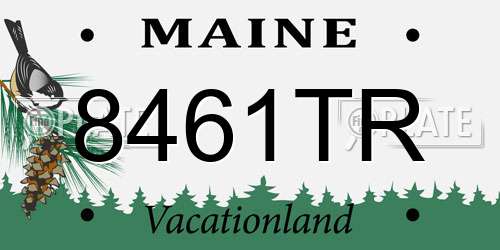 8461TR Maine License Plate