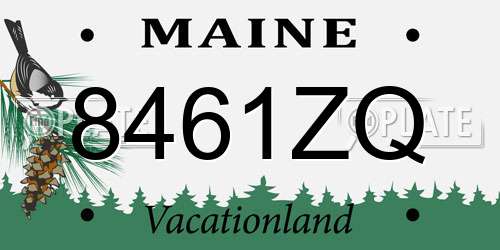 8461ZQ Maine License Plate