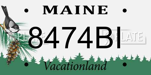 8474BI Maine License Plate