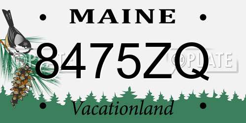 8475ZQ Maine License Plate