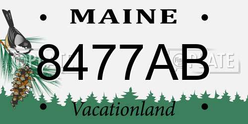 8477AB Maine License Plate