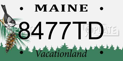 8477TD Maine License Plate