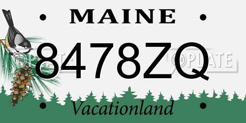 8478ZQ Maine License Plate