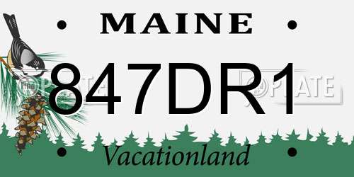847DR1 Maine License Plate