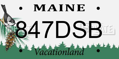 847DSB Maine License Plate