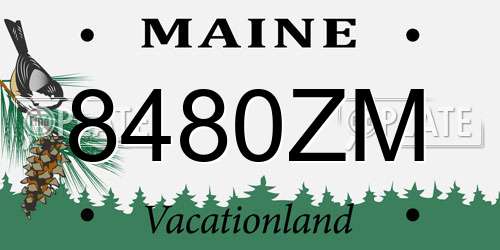 8480ZM Maine License Plate