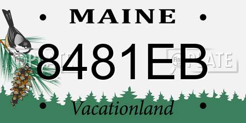 8481EB Maine License Plate
