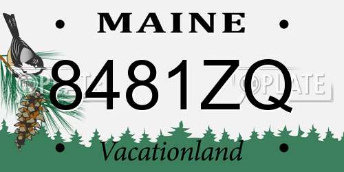 8481ZQ Maine License Plate