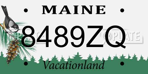 8489ZQ Maine License Plate