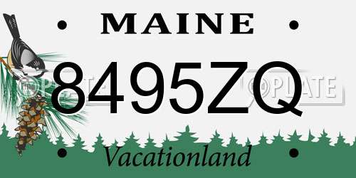 8495ZQ Maine License Plate