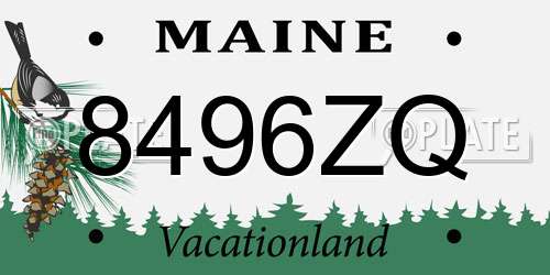 8496ZQ Maine License Plate