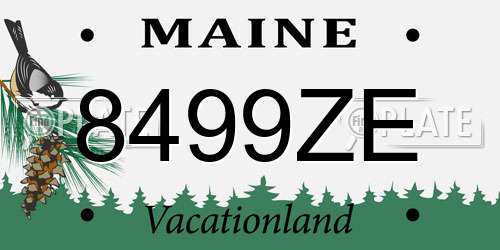 8499ZE Maine License Plate