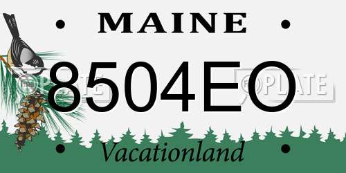 8504EO Maine License Plate