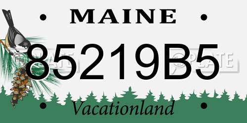 85219B5 Maine License Plate