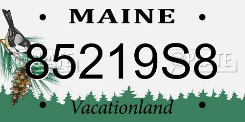 85219S8 Maine License Plate