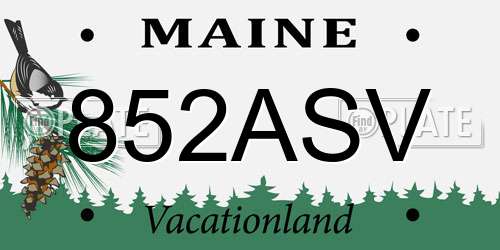 852ASV Maine License Plate