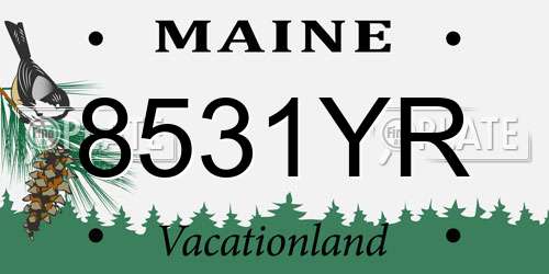8531YR Maine License Plate