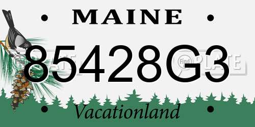 85428G3 Maine License Plate