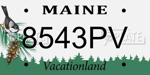 8543PV Maine License Plate