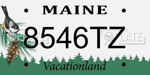 8546TZ Maine License Plate