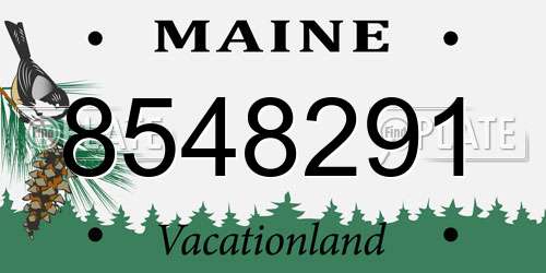 8548291 Maine License Plate