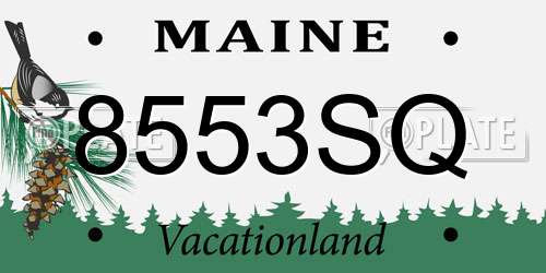 8553SQ Maine License Plate