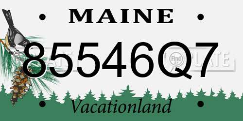 85546Q7 Maine License Plate