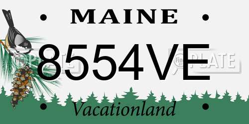 8554VE Maine License Plate