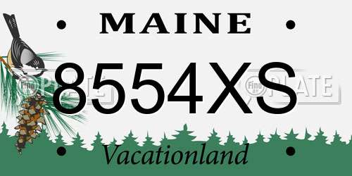 8554XS Maine License Plate