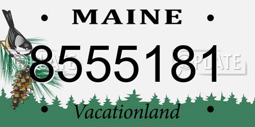 8555181 Maine License Plate