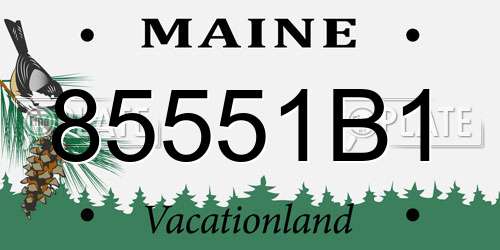 85551B1 Maine License Plate