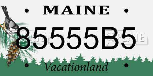 85555B5 Maine License Plate