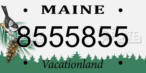 8555855 Maine License Plate