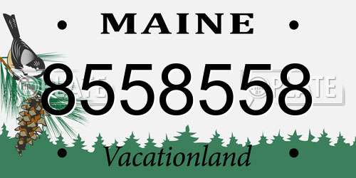 8558558 Maine License Plate