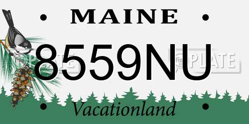 8559NU Maine License Plate