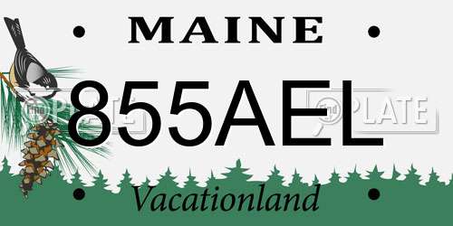 855AEL Maine License Plate
