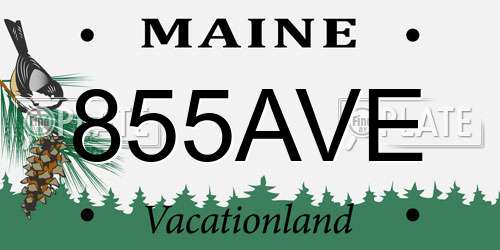855AVE Maine License Plate