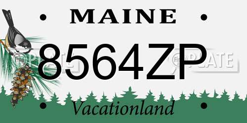 8564ZP Maine License Plate
