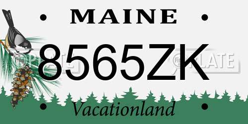 8565ZK Maine License Plate