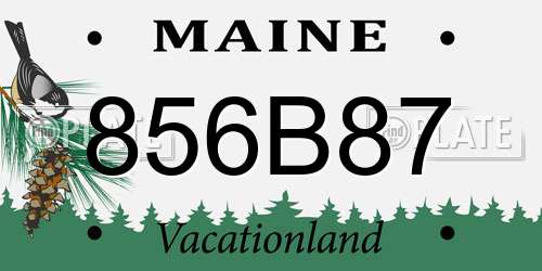 856B87 Maine License Plate