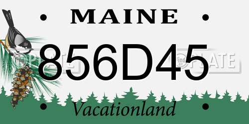 856D45 Maine License Plate