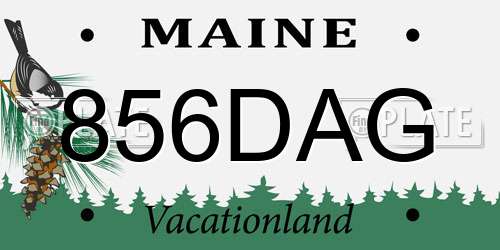 856DAG Maine License Plate