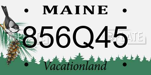 856Q45 Maine License Plate