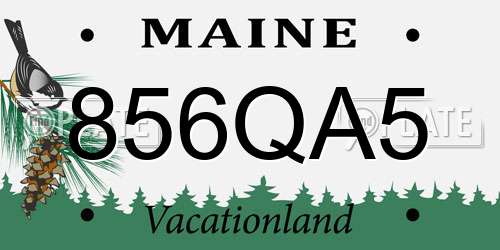856QA5 Maine License Plate