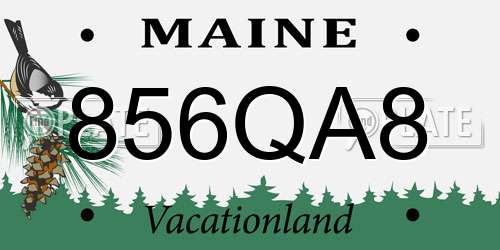 856QA8 Maine License Plate