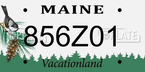 856Z01 Maine License Plate