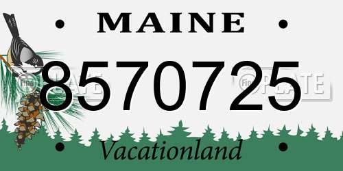 8570725 Maine License Plate