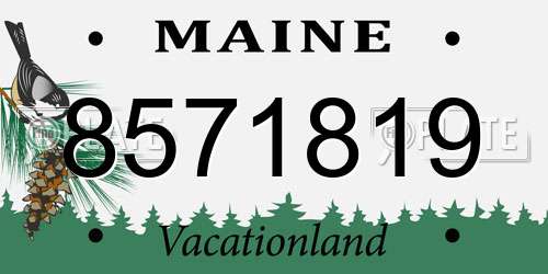8571819 Maine License Plate