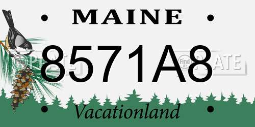 8571A8 Maine License Plate