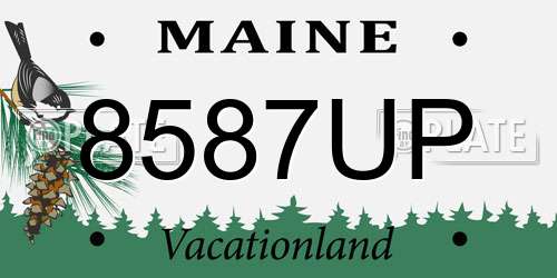 8587UP Maine License Plate
